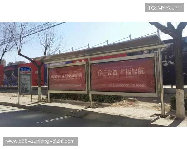 尊龙官网d88官方网站注册流程与账号安全保障全方位解析帮助新手快速上手